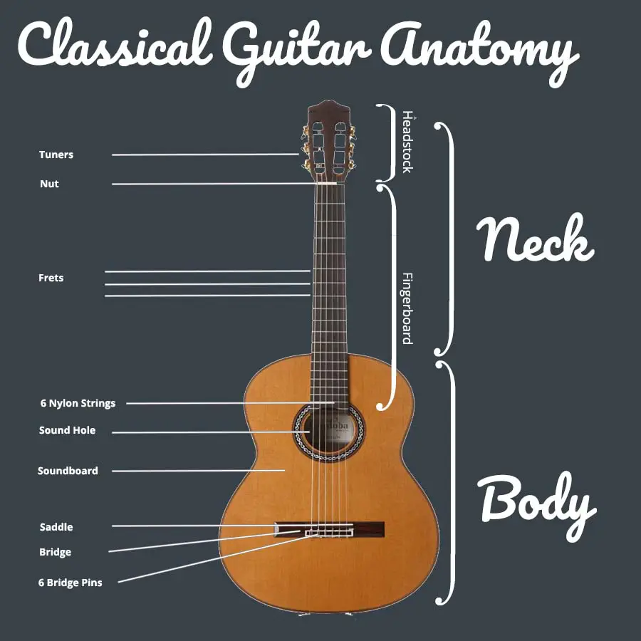 Classical deals guitar anatomy