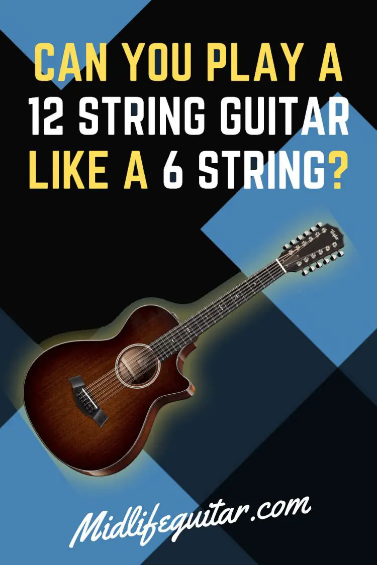 can you play a 12 string guitar like a six string?Guitar Strings Diagram Illustration E A D G B E #18