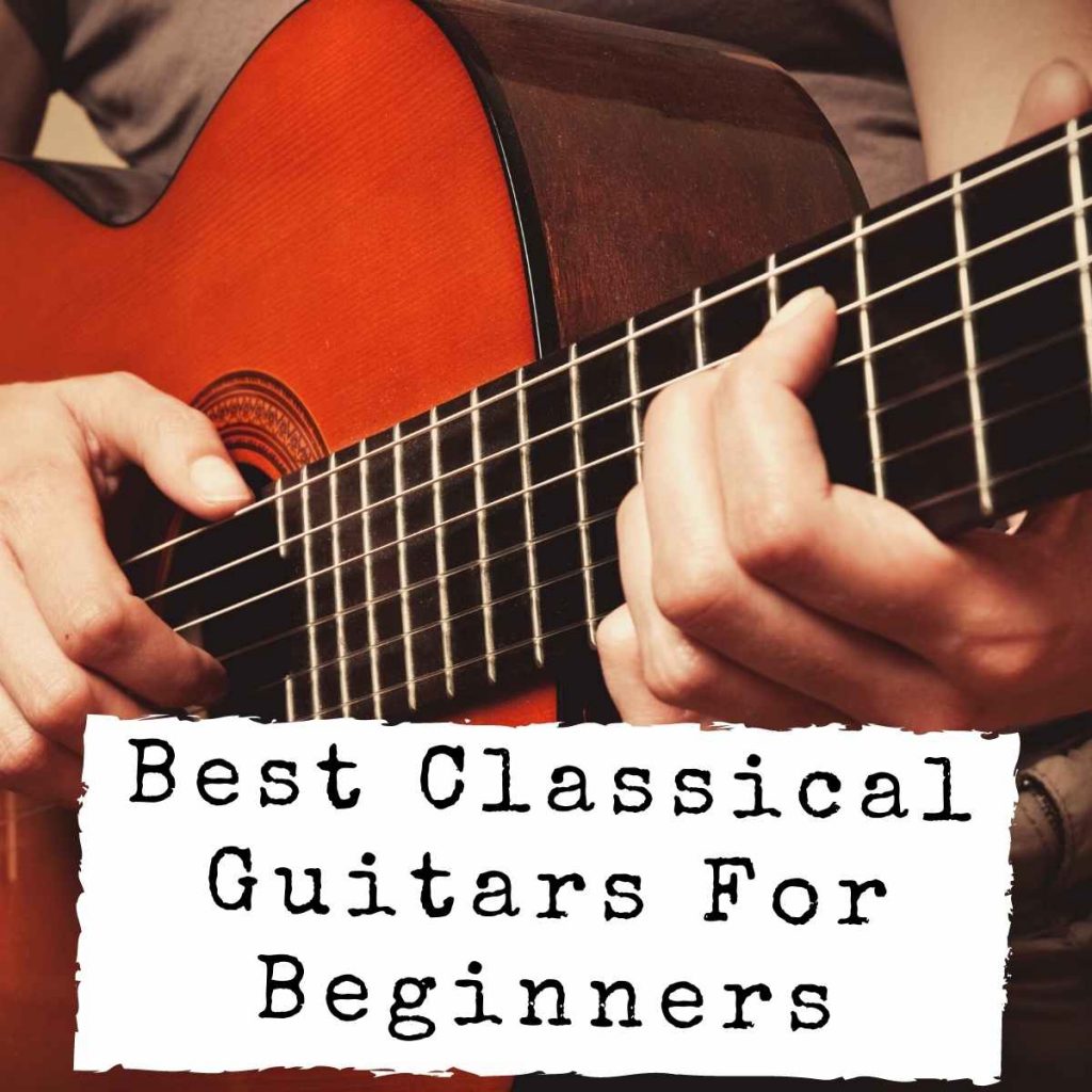 Which Classical Guitar Is Best For Beginners? – Midlife Guitar