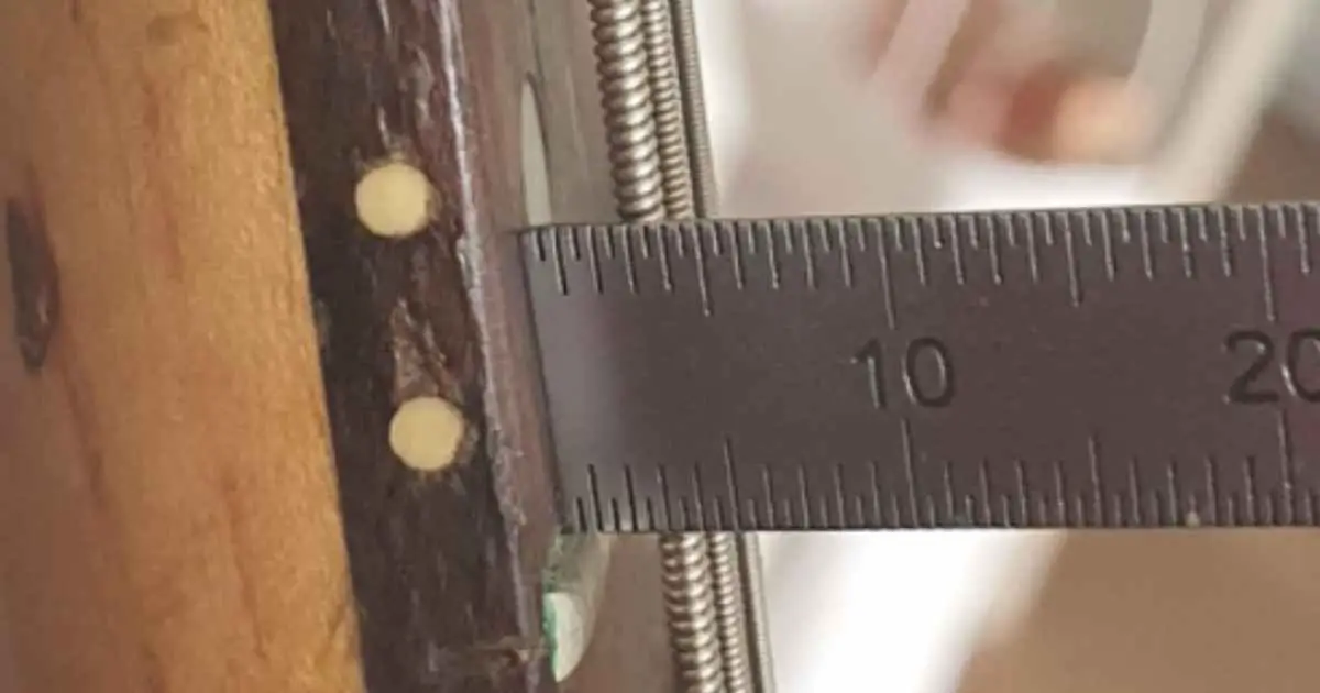 Measure the guitar action with a action ruler gauge at the 12th fret